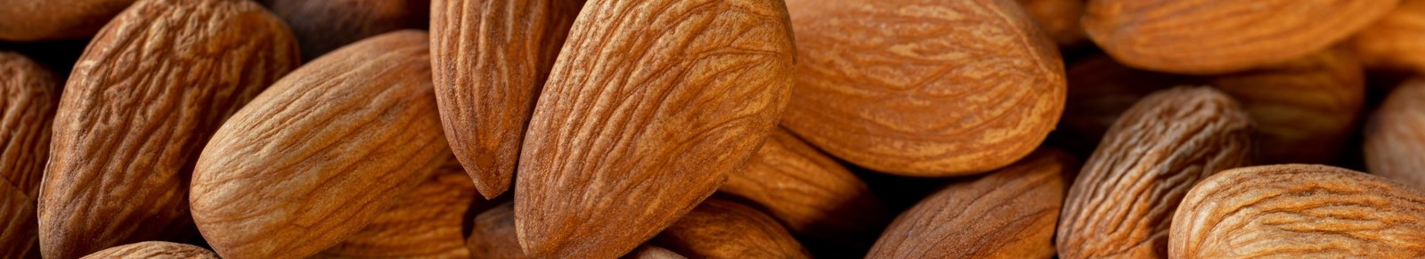 Liovela Roasted Salted Almonds