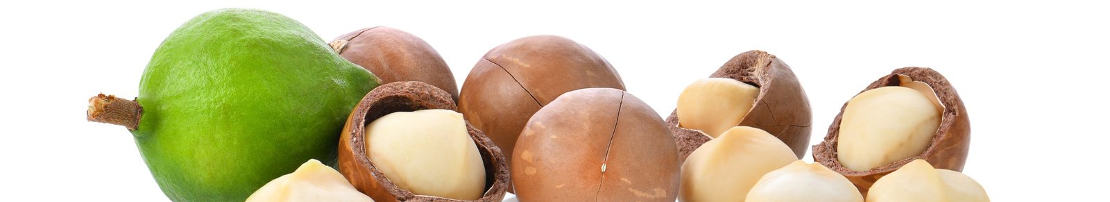 Liovela Shelled Macadamia Nuts