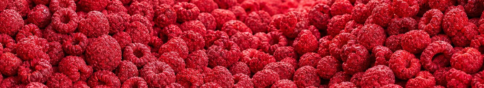 Gefriergetrocknete Himbeere - knuspriges Obst