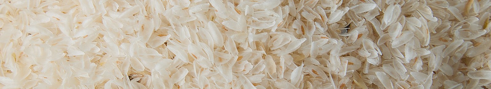 Psyllium husk Plantago ovata Liovela