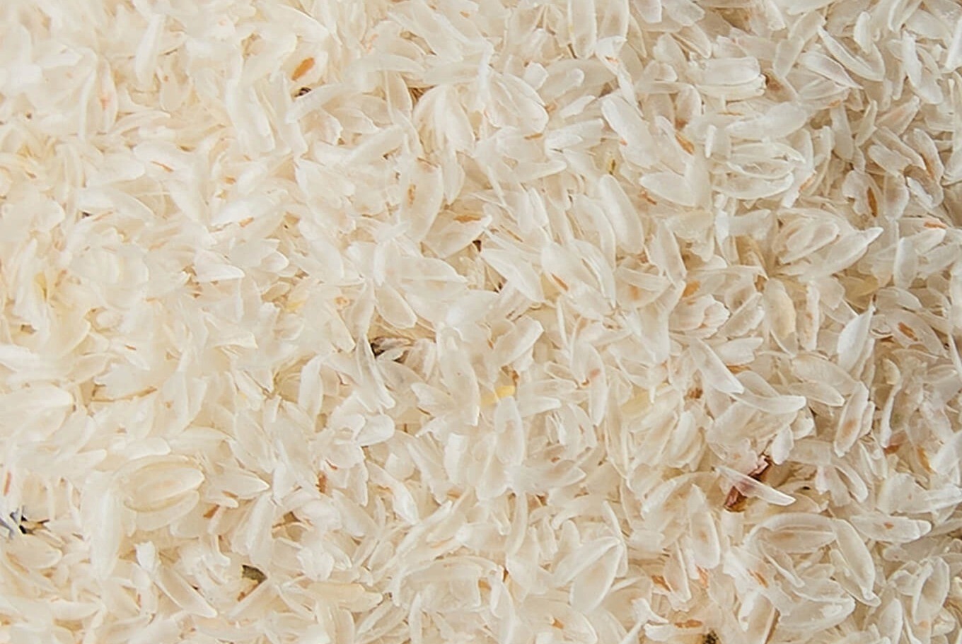 Babka jajowata – co to jest, jak działa i jak ją stosować?